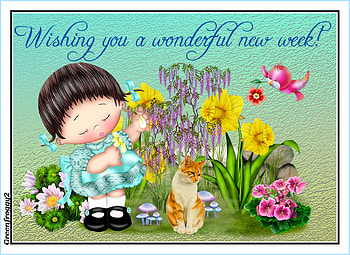 NEW WEEK, NEW, COMMENT, WEEK, CARD HD wallpaper