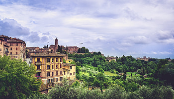 Cities, Trees, Italy, Building, Sienna, Siena, Provinces, Province HD wallpaper