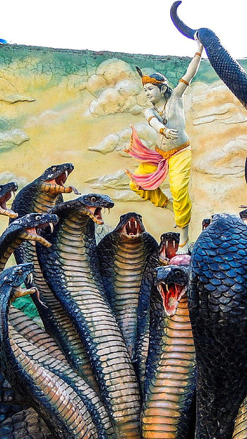 Krishna , nag raj HD phone wallpaper