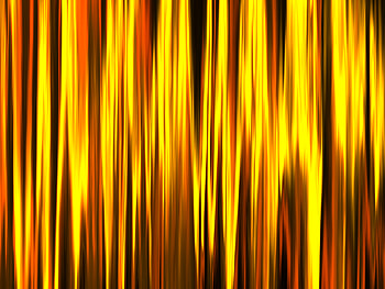 Abstract, Lines, Stripes, Streaks, Golden HD wallpaper