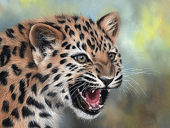 Leopard young, animal, leopard, painting, young HD wallpaper