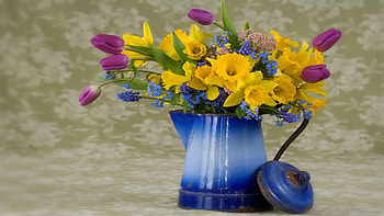 Miscellanea, Miscellaneous, Multicolored, Motley, Bouquet, Old, Kettle, Teapot, Surprise HD wallpaper