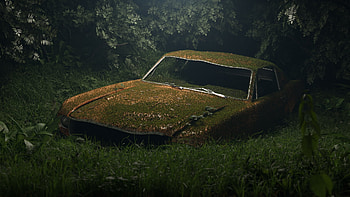 Mustang Taken by nature, ford, mustang, car, moss HD wallpaper