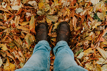 Autumn, Miscellanea, Miscellaneous, Legs, Foliage, Fallen HD wallpaper