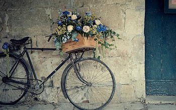 Transport, Objects, Bicycles HD wallpaper