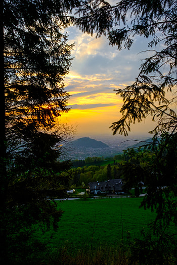 Nature, Trees, House, Hills, Lawn, Country, Villa HD phone wallpaper
