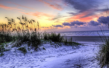 South Carolina coast, Scenic landscapes, , Coastal beauty HD wallpaper
