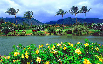Maui island, Pristine beauty, Majestic panoramas, Tropical haven HD wallpaper
