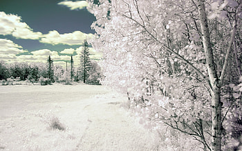 Landscape, Winter HD wallpaper