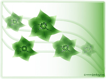 Green flowers, vector, flowers HD wallpaper