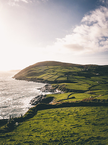 Green, landscape, nature, coast HD phone wallpaper