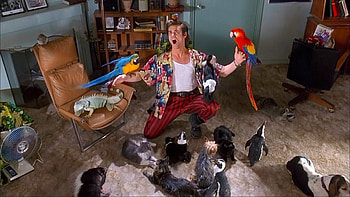 Jim Carrey, Ace Ventura, Pet detective, High-definition HD wallpaper