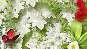 Summer Bliss, dramaturgical, exciting, curls, awesome, wonderful, spring, sensational, butterflies, stagy emotionalistic, fleurs, papillon, surprising, wondrous, histrionic, melodramatic, operatic, summer, coils, spectacular, lace, eye-opening, music, dramaturgic, butterfly, shine, blossoms, amazing, score, marvellous, dramatic, astonishing, fabulous, soft, marvelous, otional astounding, flowers, blooms HD wallpaper