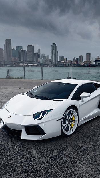 Lamborghini, White Lamborghini HD phone wallpaper