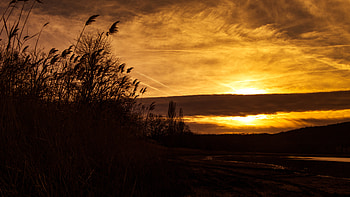 Nature, Sunset, Sky, Silhouette, Ears, Spikes HD wallpaper