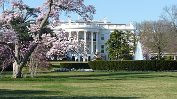 The White House, USA HD wallpaper