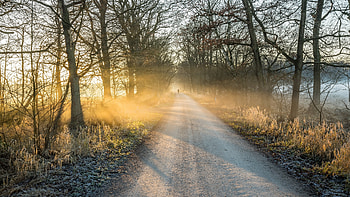 Morning Sunray, sky, nature, sunset, Morning HD wallpaper
