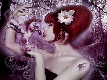 Educating Horse, girl, horse, digital art, fantasy HD wallpaper