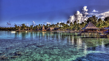PARADISE R!!!, palms, sea, stilts, r, bungalows HD wallpaper