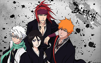 Bleach anime, Season 17, Netflix release, Blood War arc HD wallpaper