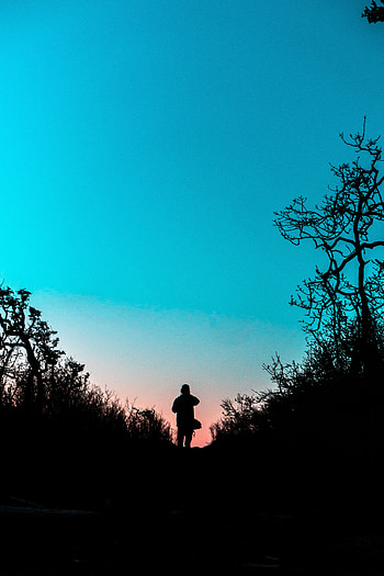 Twilight, Bush, Dark, Silhouette, Miscellanea, Miscellaneous, Path, Dusk, Outlines, Trail HD phone wallpaper