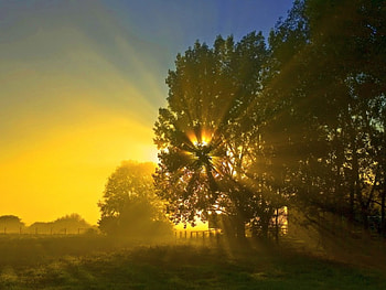 Have a beautiful summer, golden, rays, trees, sky, sun, sunrise HD wallpaper