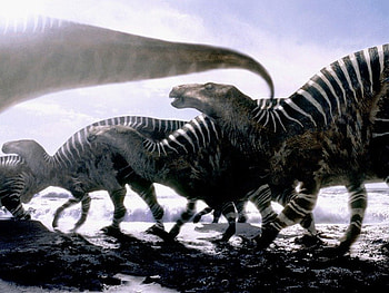 Dinosaurs, animal, great, awesome, , other, dinosaur, nice, animals, prehistory, prehistoric, drawing, cool, paleontology, amazing HD wallpaper