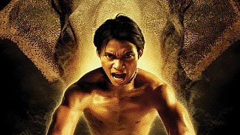Tony Jaa , Top backgrounds HD wallpaper