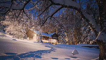 Winter Forest In Bulgaria, trees, lights, house, snow, evening HD wallpaper