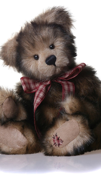 Teddy Bear Live, Christmas, Teddy HD phone wallpaper
