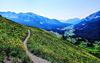Trail in Crested Butte, Colorado, path, landscape, meadow, sky, usa HD wallpaper