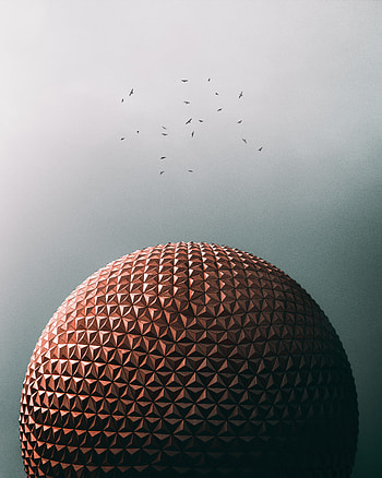 Birds, Architecture, Building, Miscellanea, Miscellaneous, Ball, Dome HD phone wallpaper