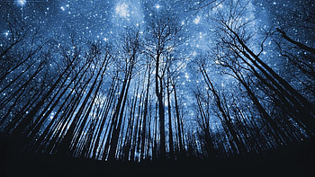 Starry Night HD wallpaper