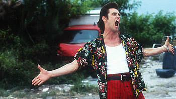 Ace Ventura: Pet Detective, 1994 backdrops, The Movie Database, Film setting HD wallpaper