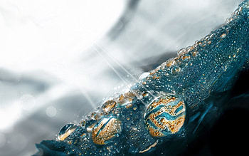 Drops, Macro, Shine, Light, Brilliance, Surface HD wallpaper