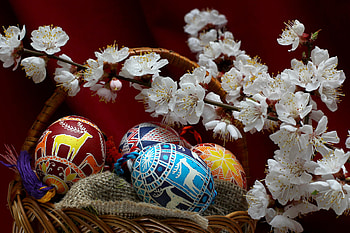 Easter , Festive , Easter celebration HD wallpaper