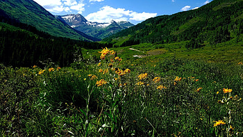 Divide, Crested Butte, Colorado, blossoms, clouds, sky, mountains, usa HD wallpaper
