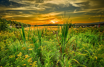 Nature, Rivers, Sunset, Grass, Summer, Horizon HD wallpaper