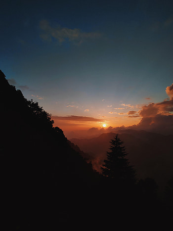 Sunset, Dark, Forest, Fog, Slope HD phone wallpaper