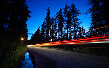 Trees, Night, Dark, Road, Long-Term Exposure HD wallpaper