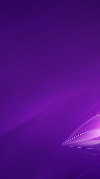 Purple Color, Violet HD phone wallpaper
