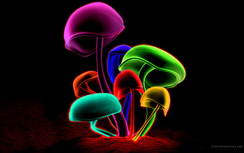 Cool 3D | Mushrooms | HD wallpaper