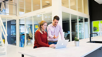 Two colleagues collaborating at a modern office with a laptop. HD wallpaper
