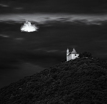 Nature, Trees, Austria, Bw, Chb, Church, Vein, Church Am Steinhof, Am-Steinhof Church HD wallpaper