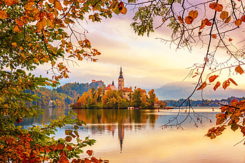 Lake Bled in autumn, Bled, fall, view, autumn, branches, beautiful, castle, lake, reflection HD wallpaper