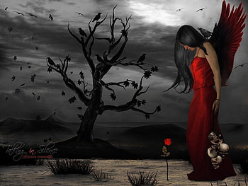 Angel of death, , 2011, 05, 11, angel, death HD wallpaper