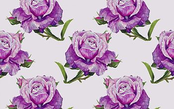 violet roses pattern, floral patterns, decorative art, background with roses, flowers, roses patterns, floral textures, abstract roses pattern HD wallpaper