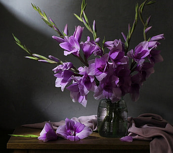 Still life, purple, vase, nature, flowers HD wallpaper