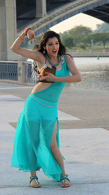 Richa panai, telugu actress HD phone wallpaper
