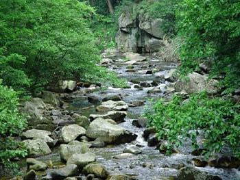 Secret place, nature, rivers HD wallpaper